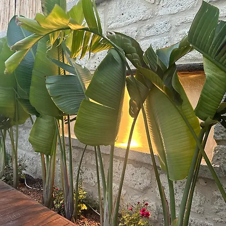 Hotel Minos Alacati Cesme