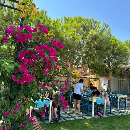Minos Alacati * Cesme